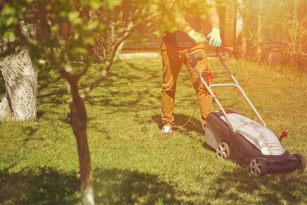 Cutting lawn deals with weed wacker